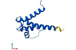 AlphaFold protein structure predicition of Human Recombinant S100A8 Protein, UniprotID P05109