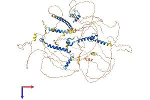 AlphaFold protein structure predicition of Human Recombinant MRTFB Protein, UniprotID Q9ULH7