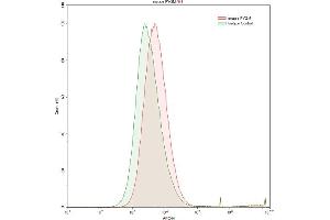 Detection of PYGM in HepG2 human hepatocellular carcinoma cell line using Polyclonal Antibody to Glycogen Phosphorylase, Muscle (PYGM)