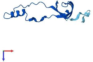 AlphaFold protein structure predicition of Mouse Recombinant Rpl36a Protein, UniprotID P83882