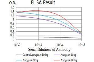 Black line: Control Antigen (100 ng);Purple line: Antigen (10ng); Blue line: Antigen (50 ng); Red line:Antigen (100 ng) (BNIP3 anticorps  (AA 50-155))
