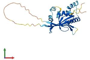 AlphaFold protein structure predicition of Human Recombinant ATG10 Protein, UniprotID Q9H0Y0