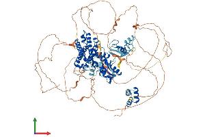AlphaFold protein structure predicition of Human Recombinant CBL Protein, UniprotID P22681