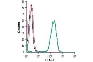 Cell surface detection of GPR37 in live intact human THP-1 monocytic leukemia cells: (black line) Cells.