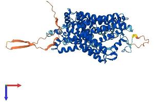 AlphaFold protein structure predicition of Mouse Recombinant Slc6a3 Protein, UniprotID Q61327