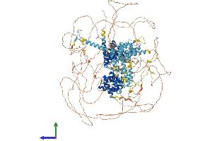 AlphaFold protein structure predicition of Mouse Recombinant Eif4g1 Protein, UniprotID Q6NZJ6