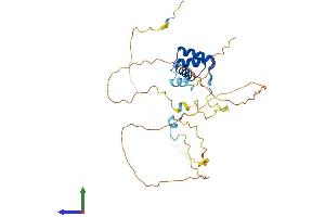 AlphaFold protein structure predicition of Human Recombinant EN2 Protein, UniprotID P19622