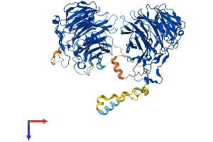 AlphaFold protein structure predicition of Mouse Recombinant Coro7 Protein, UniprotID Q9D2V7