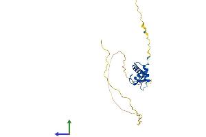 AlphaFold protein structure predicition of Human Recombinant H1-0 Protein, UniprotID P07305