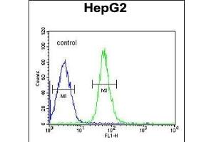 HMGA2 Antibody (C-term) (ABIN1981306 and ABIN2840297) flow cytometric analysis of HepG2 cells (right histogram) compared to a negative control cell (left histogram). (HMGA2 anticorps  (C-Term))