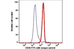 Flow Cytometry (FACS) image for anti-Fc gamma RII (CD32) antibody (FITC) (ABIN2704248) (Fc gamma RII (CD32) anticorps (FITC))