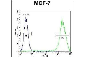 LGALS3 Antibody (C-term) (ABIN655879 and ABIN2845280) flow cytometric analysis of MCF-7 cells (right histogram) compared to a negative control cell (left histogram). (Galectin 3 anticorps  (C-Term))