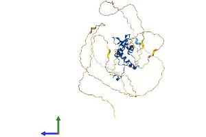 AlphaFold protein structure predicition of Mouse Recombinant Elk4 Protein, UniprotID P41158