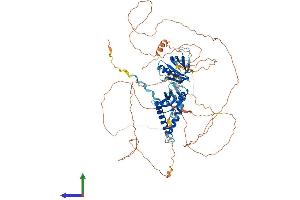 AlphaFold protein structure predicition of Human Recombinant SH2B1 Protein, UniprotID Q9NRF2