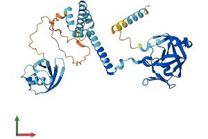 AlphaFold protein structure predicition of Human Recombinant DDI2 Protein, UniprotID Q5TDH0