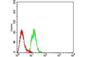 Flow cytometric analysis of Hela cells using MTA1 mouse mAb (green) and negative control (red).