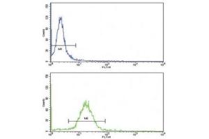 Flow cytometric analysis of MDA-231 cells using WNT10B antibody (green)