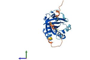 AlphaFold protein structure predicition of Human Recombinant RAB19 Protein, UniprotID A4D1S5