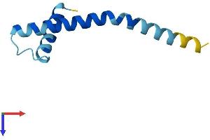 AlphaFold protein structure predicition of Human Recombinant SPTSSB Protein, UniprotID Q8NFR3