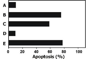 Functional applicvation example: Apoptosis induced in JURKAT human T cell leukemia cell line by soluble recombinant human TRAIL is completely blocked by anti-human TRAIL (2E5).