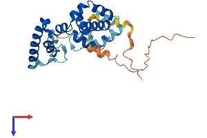 AlphaFold protein structure predicition of Human Recombinant TBC1D26 Protein, UniprotID Q86UD7
