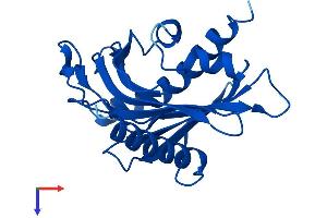 AlphaFold protein structure predicition of Human Recombinant STARD5 Protein, UniprotID Q9NSY2