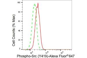 Flow cytometric analysis of Phospho-Src (Y419) expression in H9c2 cells using Phospho-Src (Y419) antibody (ABIN7800050), 1:2,000). (Recombinant Src anticorps  (pTyr419))