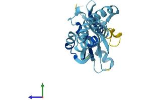 AlphaFold protein structure predicition of Mouse Recombinant Nat14 Protein, UniprotID Q8BVG8