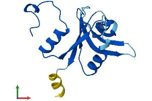 AlphaFold protein structure predicition of Human Recombinant UFSP1 Protein, UniprotID Q6NVU6
