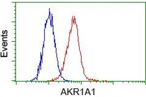 Image no. 5 for anti-Aldo-Keto Reductase Family 1, Member A1 (Aldehyde Reductase) (AKR1A1) antibody (ABIN1496544) (AKR1A1 anticorps)
