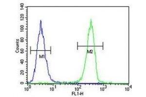 HOXA9 antibody flow cytometric analysis of A375 cells (green) compared to a negative control (blue).