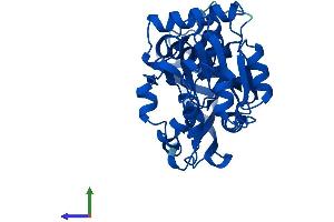 AlphaFold protein structure predicition of Mouse Recombinant Ptgr1 Protein, UniprotID Q91YR9