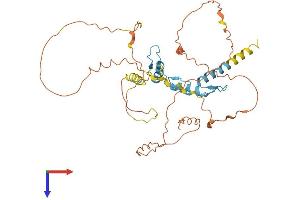AlphaFold protein structure predicition of Human Recombinant SP5 Protein, UniprotID Q6BEB4