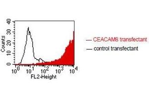 FACS analysis of BOSC23 cells using GM2H6. (CEACAM8 anticorps)