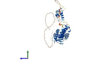 AlphaFold protein structure predicition of Human Recombinant RARG Protein, UniprotID P13631