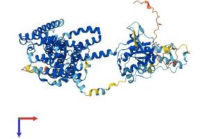 AlphaFold protein structure predicition of Human Recombinant SLC26A3 Protein, UniprotID P40879
