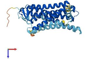 AlphaFold protein structure predicition of Human Recombinant OR11A1 Protein, UniprotID Q9GZK7
