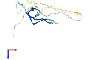 AlphaFold protein structure predicition of Mouse Recombinant Gtf3c6 Protein, UniprotID Q9D8P7