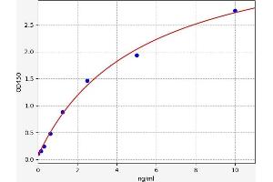 Peripheral Myelin Protein 2 (PMP2) ELISA Kit