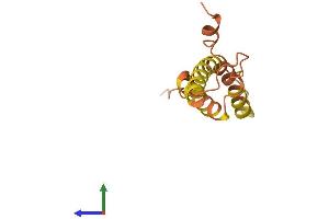 AlphaFold protein structure predicition of Human Recombinant PRR9 Protein, UniprotID Q5T870