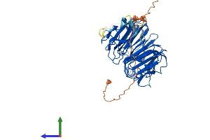 AlphaFold protein structure predicition of Mouse Recombinant Sergef Protein, UniprotID Q80YD6