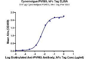 Immobilized Cynomolgus PVRIG, hFc Tag at 0. (PVRIG Protein (AA 41-171) (Fc Tag))