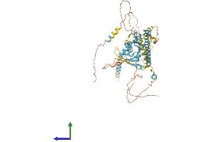 AlphaFold protein structure predicition of Mouse Recombinant Dync1li1 Protein, UniprotID Q8R1Q8