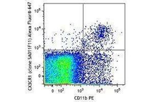 Flow Cytometry (FACS) image for anti-Chemokine (C-X3-C Motif) Receptor 1 (CX3CR1) antibody (Alexa Fluor 647) (ABIN2657193)