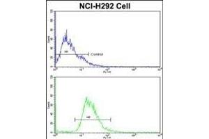 Flow cytometric analysis of NCI- cells using EEF1A1 Antibody (C-term)(bottom histogram) compared to a negative control cell (top histogram).