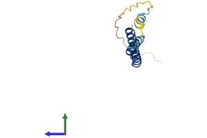 AlphaFold protein structure predicition of Mouse Recombinant Ifitm1 Protein, UniprotID Q9D103