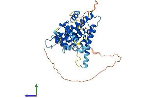AlphaFold protein structure predicition of Mouse Recombinant Nr2f6 Protein, UniprotID P43136