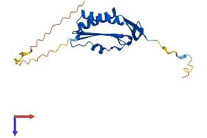 AlphaFold protein structure predicition of Human Recombinant MOCS2 Protein, UniprotID O96007