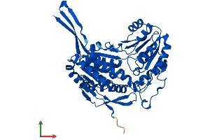 AlphaFold protein structure predicition of Human Recombinant ALDH8A1 Protein, UniprotID Q9H2A2