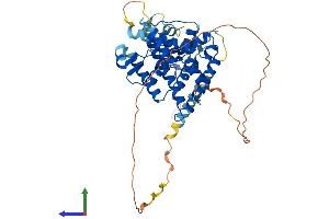 AlphaFold protein structure predicition of Mouse Recombinant Nr5a1 Protein, UniprotID P33242